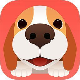 长沙app开发公司:宠物社区app开发的优势